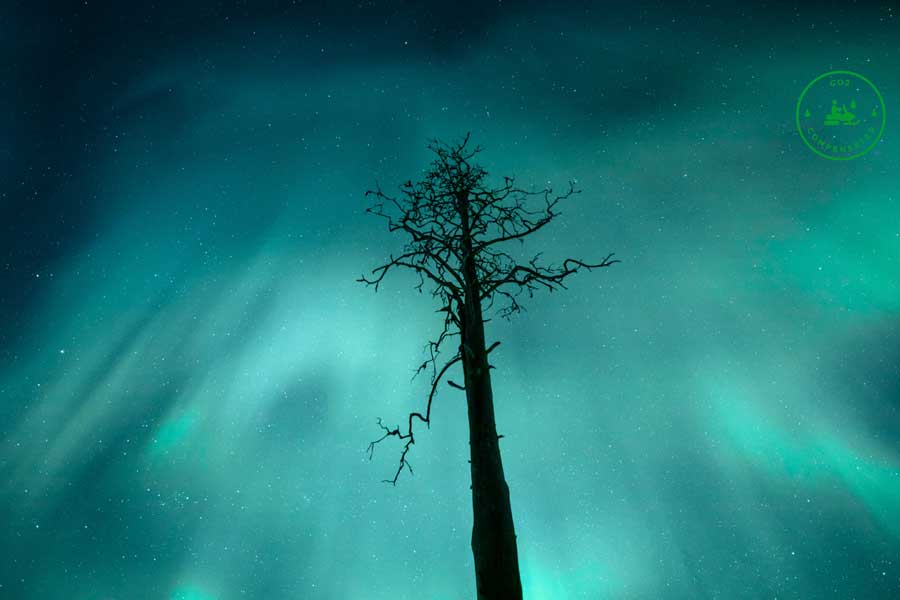 Sneeuwscootersafari ontdek het noorderlicht Saariselka