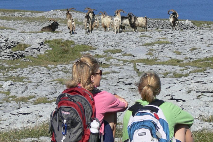 The Burren & Aran Islands Wandeltrektocht